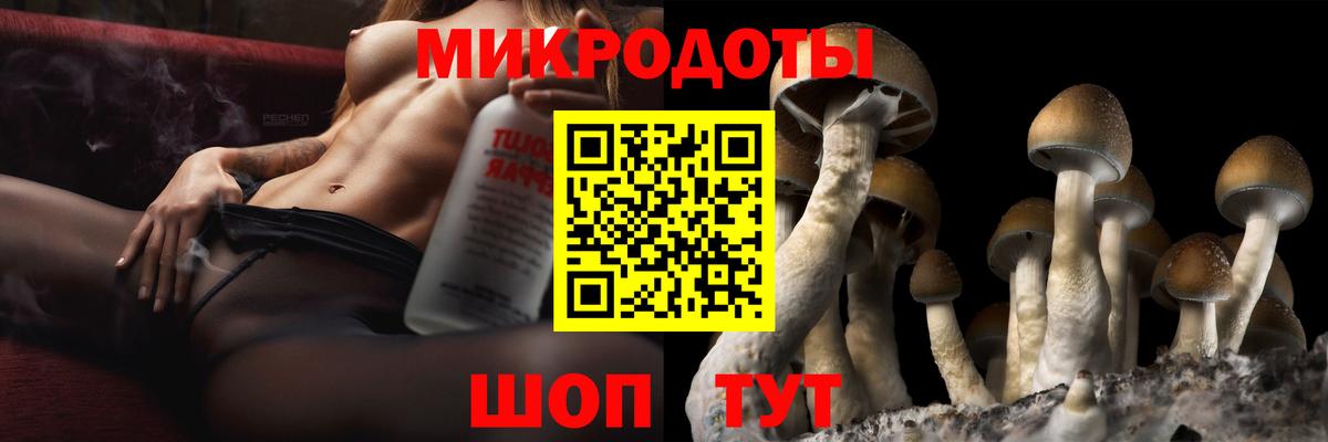 Галлюциногенные грибы Psilocybine cubensis  Вход с VPN  как найти закладки  Кизляр 
