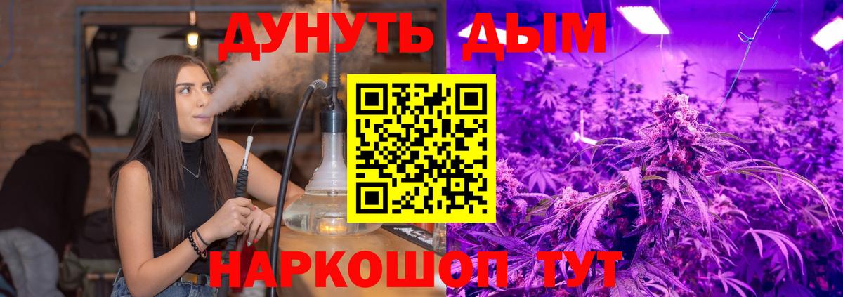 Шишки марихуана VHQ Кизляр
